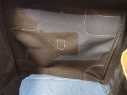 GUCCI
Set of two suitcases in monogrammed...