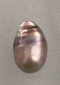 Two cultured pearls