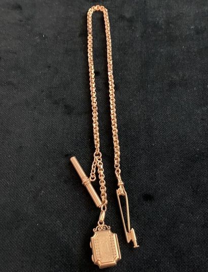 Yellow gold vest chain with two charms and...