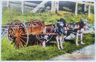 1 Album
Selection of good regionalism cards...