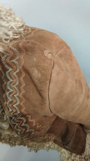 Coat in turned-out skin
(wear, holes)