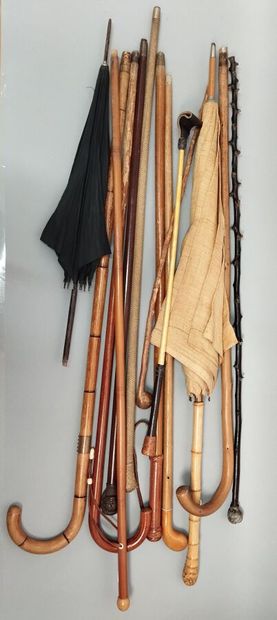 Set of walking sticks, riding crop and p...