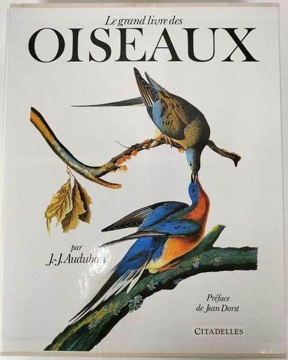 Jean Jacques Aubudon 
Editions Citadelles...