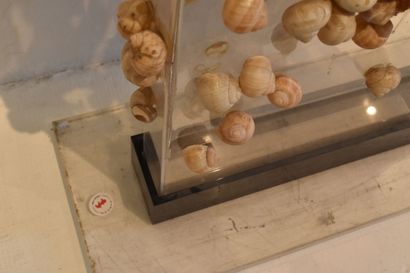 Claude GILLI (1938-2015)
Sculpture aux escargots,...