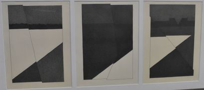 Leonid PETRUSHIN (b. 1946)
Excursion I, II...