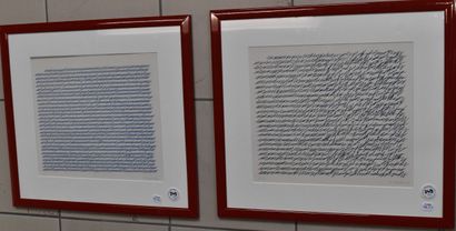D'après Vera MOLNAR 
Écritures
Deux lithographies...