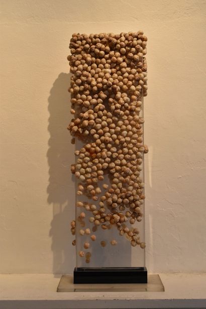 Claude GILLI (1938-2015)
Sculpture aux escargots,...