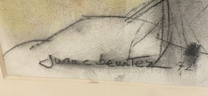 Juan Carlo BENITEZ (b. 1931)
Graciela observendos...