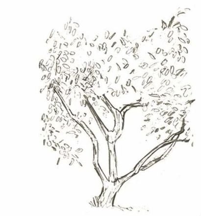 Aude de THUIN
Un arbre de vie. 