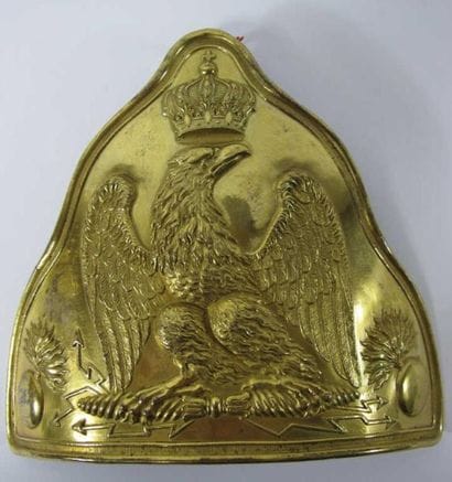Superbe plaque d'officier des grenadiers...