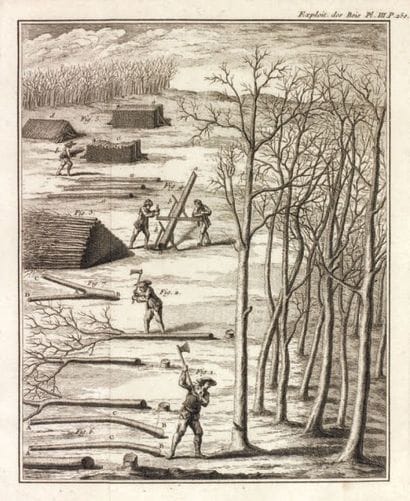 DUHAMEL DU MONCEAU Henri-Louis
De l'exploitation...