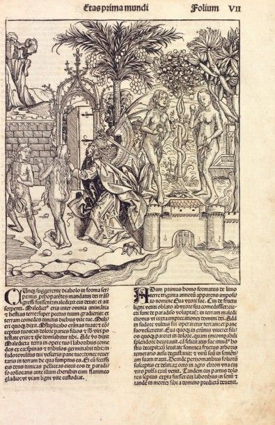 ROQUES Joseph
Plantes usuelles, indigènes...