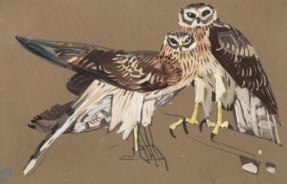 MEHEUT Mathurin (1882-1958)
