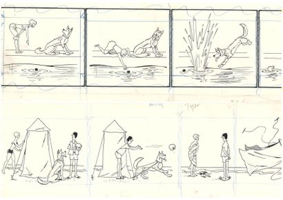 COQ
Lot de 51 strips dont série