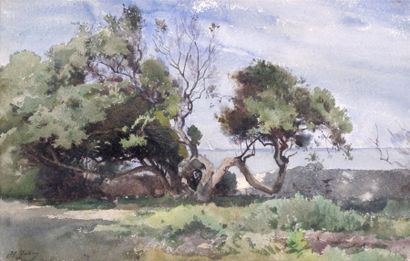 ZUBER Henri (1844-1909)
