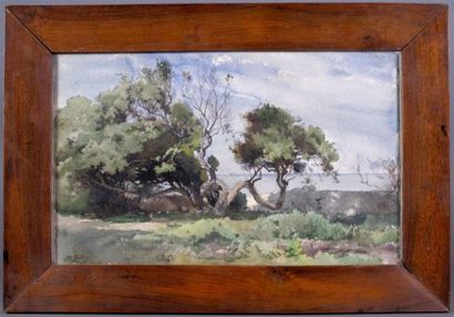 ZUBER Henri (1844-1909)
