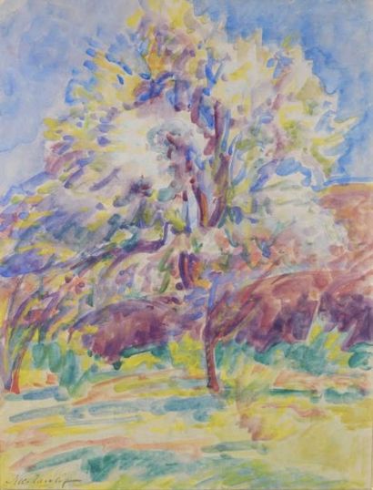TARKHOFF Nicolas (1871-1930)

