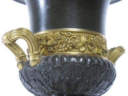 Paire de vases Médicis à deux anses et leur...