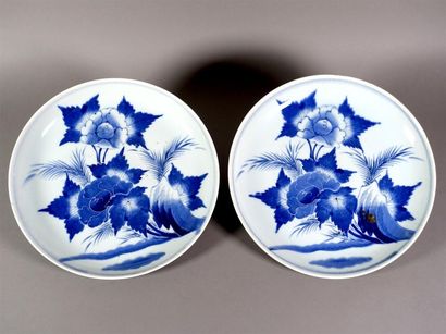 JAPON
Paire de plats ronds, à décor en bleu...
