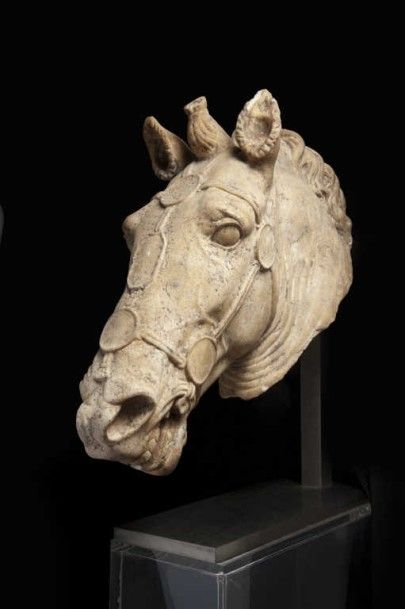 Tête réaliste, représentant celle d'un cheval....