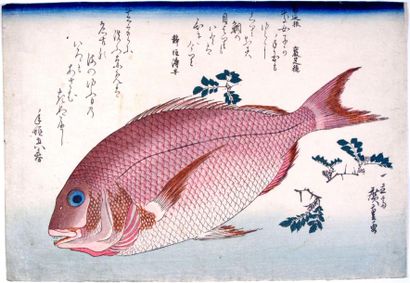 Utagawa Hiroshige (1797-1858)
Oban yoko-e...
