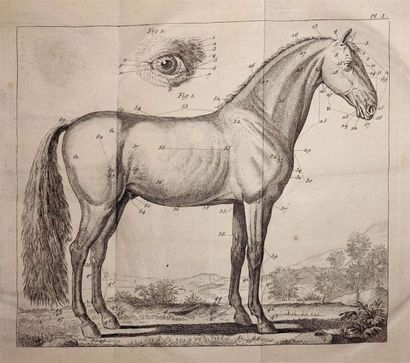 LAFOSSE : Guide du Maréchal. Paris, Lacombe,...