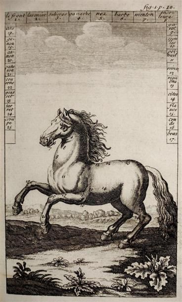 [LIGER, (Louis)) : La Connaissance Parfaite...