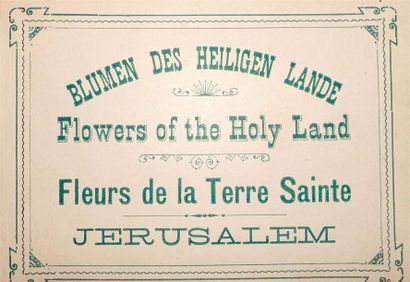JERUSALEM. Blumen des Heiligen Lande. Flowers...