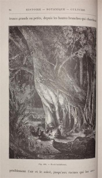 DE PUYDT E. : Les Orchidées. Histoire iconographique....