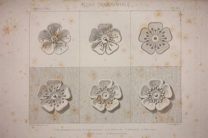 RUPRICH-ROBERT (Victor) : Flore Ornementale...