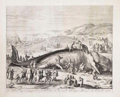 Gilliam van der Gouwen (actif vers 1669-1720)...