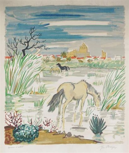 Divers Un fort lot par C. Baumeister, Brayer,...