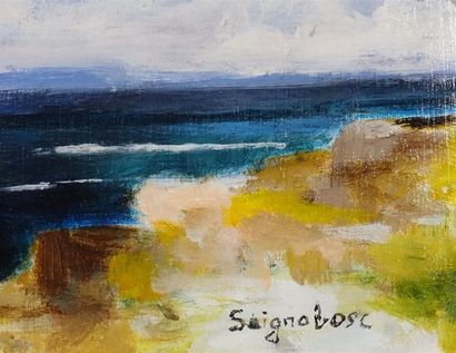SEIGNOBOSC Hervé

