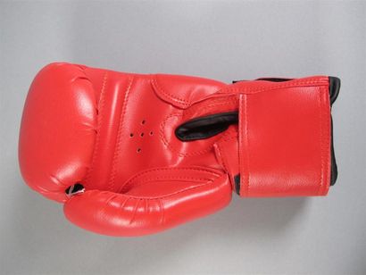 BOXE
Gant de boxe de la marque Everlast en...