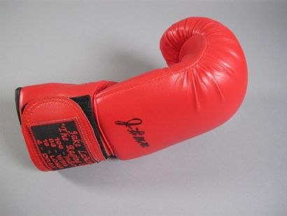 BOXE
Gant de boxe de la marque Everlast en...