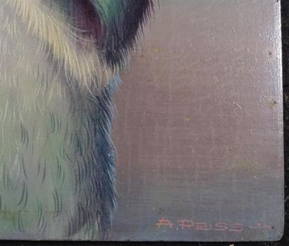 REISS Albert (1909-1989)
