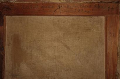 VOGEL Johannes-Gijsbert (1828-1915)

