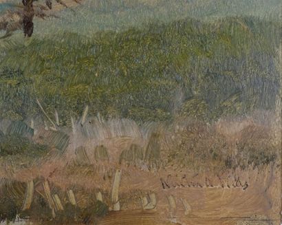 WELLS Newton-Alonzo (1852-1923)
