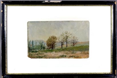 WELLS Newton-Alonzo (1852-1923)
