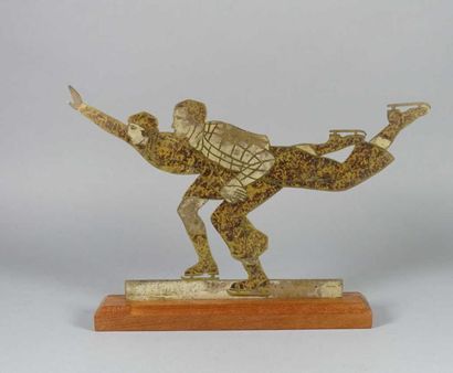 SPORTS D'HIVER
