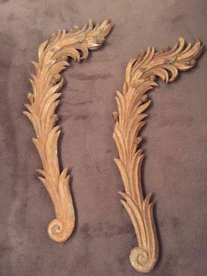 Deux palmes en bois.
XVIIIe siècle.
Haut....