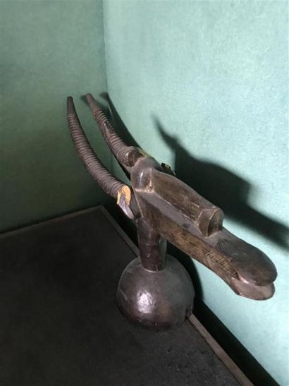 AFRIQUE
Animal stylisé
Bois sculpté.