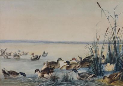 Deux aquarelles, une peinture, un pastel...