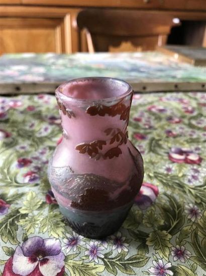 DE VEZ 
Petit vase pansu rose à décor lacustre...