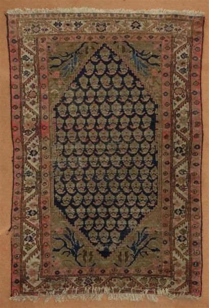 Tapis HAMADAN
Chaîne et trame en coton, velours...