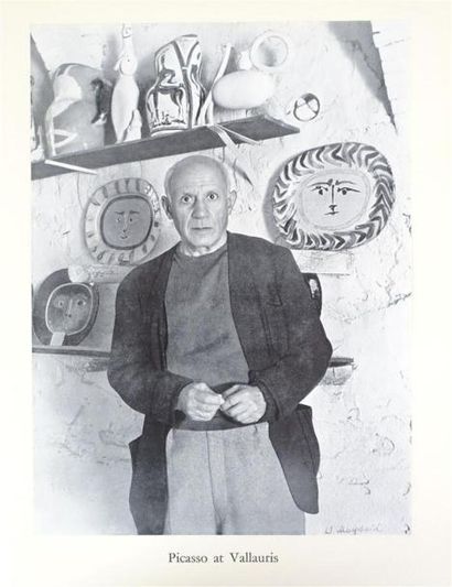 PICASSO
