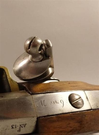 Pistolet de cavalerie modèle An IX. Canon...