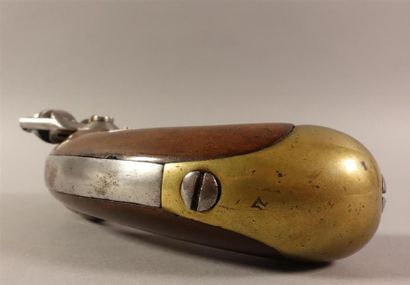 Pistolet de cavalerie modèle An IX. Canon...