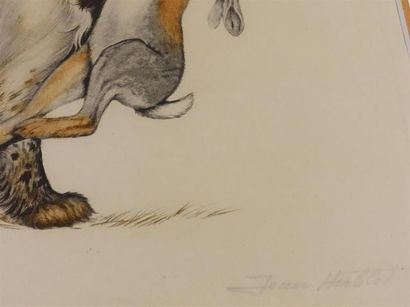 D'après Jean HERBLET (1893-1985)
