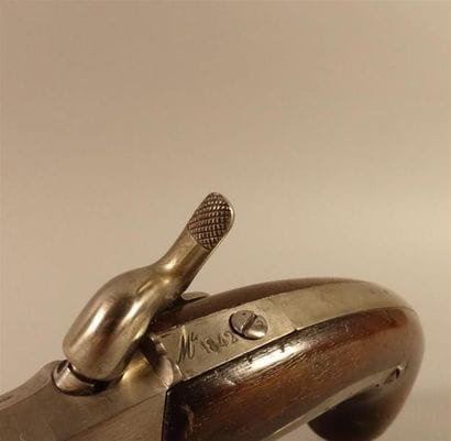 Pistolet de marine à percussion modèle 1837....